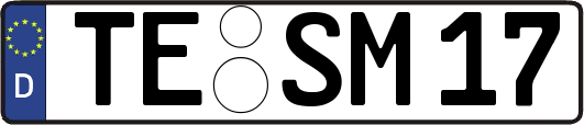 TE-SM17