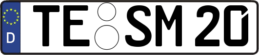 TE-SM20