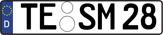 TE-SM28