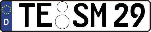 TE-SM29