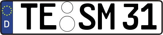 TE-SM31