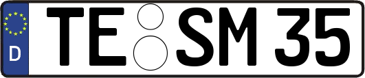 TE-SM35