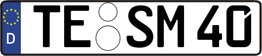 TE-SM40