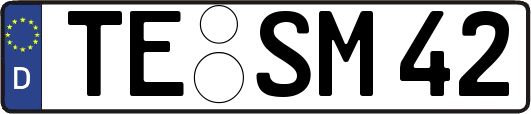 TE-SM42