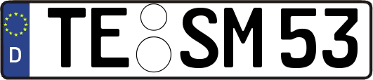 TE-SM53