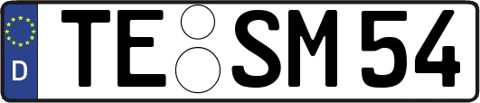 TE-SM54