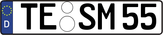 TE-SM55