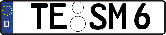 TE-SM6