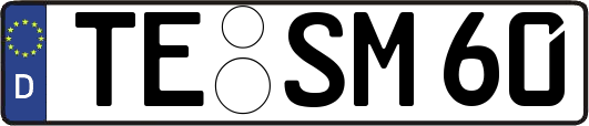 TE-SM60