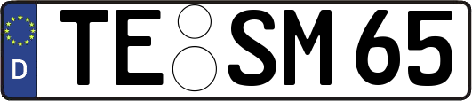 TE-SM65