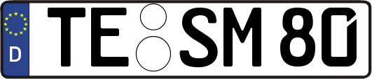 TE-SM80