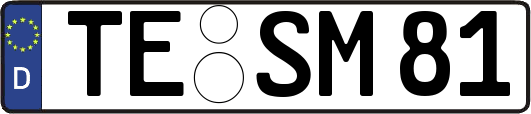 TE-SM81