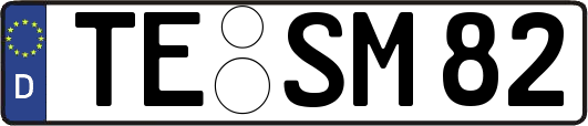 TE-SM82