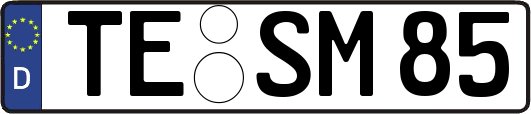 TE-SM85