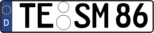 TE-SM86