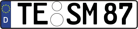 TE-SM87