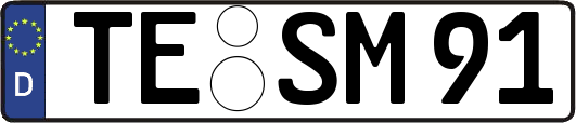 TE-SM91