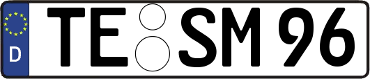 TE-SM96