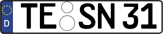 TE-SN31
