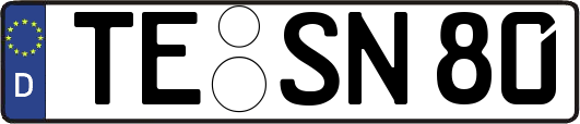 TE-SN80