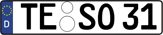 TE-SO31