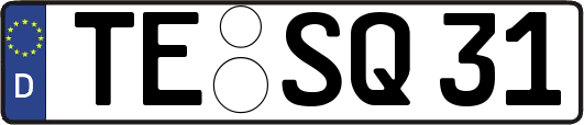 TE-SQ31