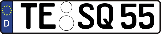 TE-SQ55