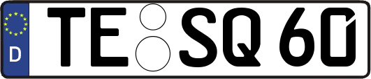 TE-SQ60