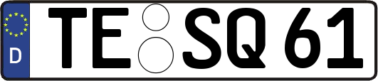 TE-SQ61