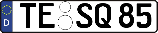 TE-SQ85