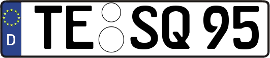 TE-SQ95