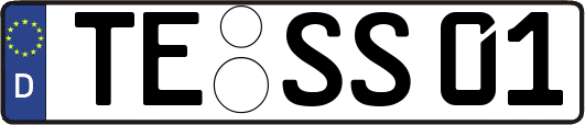 TE-SS01