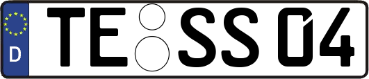TE-SS04