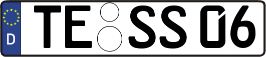 TE-SS06
