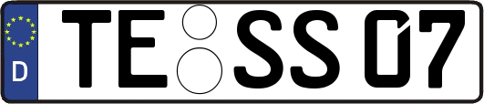 TE-SS07