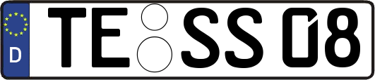 TE-SS08