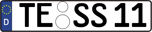 TE-SS11