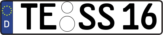 TE-SS16