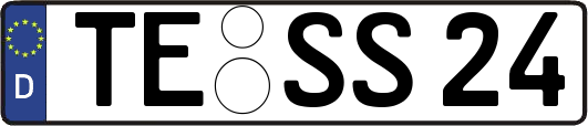TE-SS24