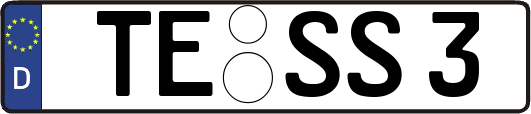 TE-SS3