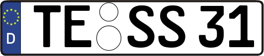 TE-SS31