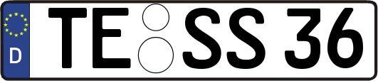 TE-SS36