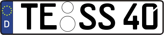TE-SS40