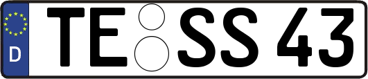 TE-SS43