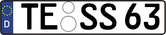 TE-SS63