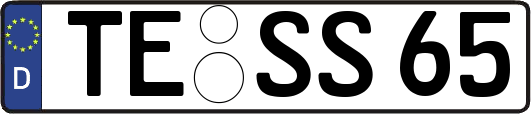 TE-SS65