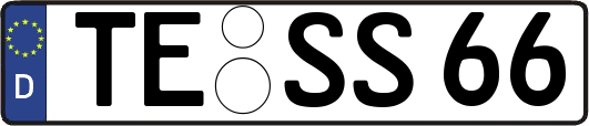 TE-SS66