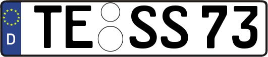 TE-SS73