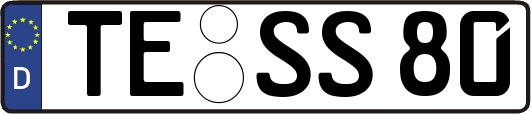 TE-SS80