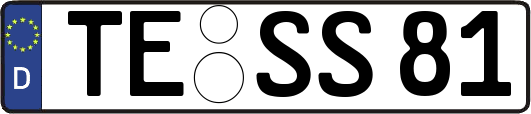 TE-SS81